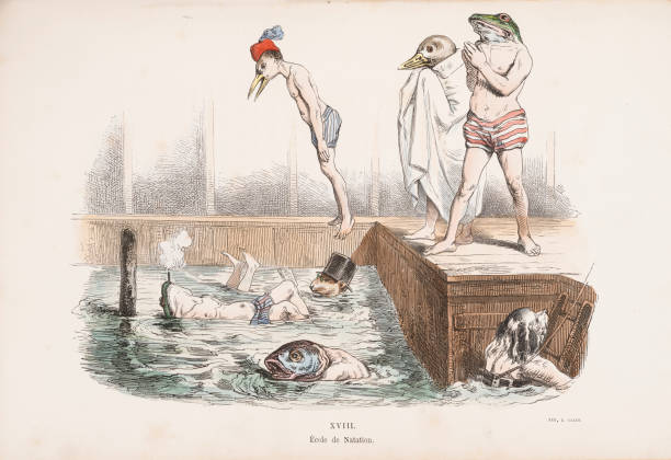 Grandville - Anthropomorphized Animals Taking a Swimming Class Swimming Instruction with a Twist: A bird in swimwear cautiously approaches the edge, while a frog stands to the side, wrapped in a towel. In the water, a fish with human features swims effortlessly, and a duck, still dressed in a top hat, struggles to stay afloat. This whimsical swimming lesson, where animals don human attire and roles, is a playful nod to the absurd. Illustration from Grandville's 'Les Métamorphoses du jour', 1854. victorian swimwear stock illustrations