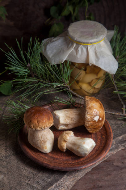 clay plate with three porcini mushrooms commonly known as boletus edulis and glass jar with canned mushrooms on vintage wooden background. - mushroom stem cap plate imagens e fotografias de stock