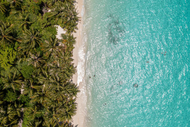 narrow island in indian ocean on maldives surounded by blue water aerial view, dhigurah - luftbild 뉴스 사진 이미지