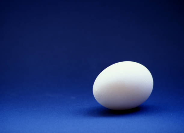 istock closeup of one single hen´s egg, chicken egg 2030320226