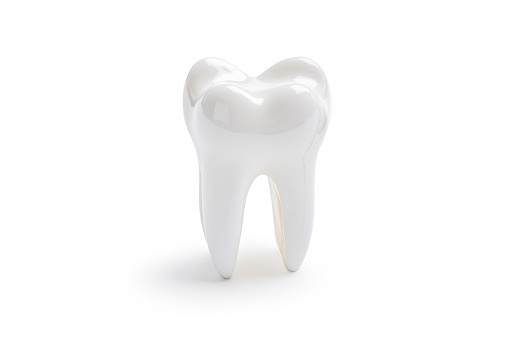 Dental model of molar on white background, concept of dental examination, dental health and hygiene.