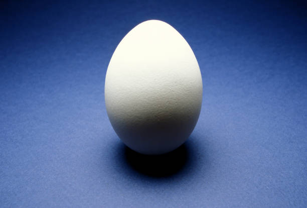 istock closeup of one single hen´s egg, chicken egg 2030323096