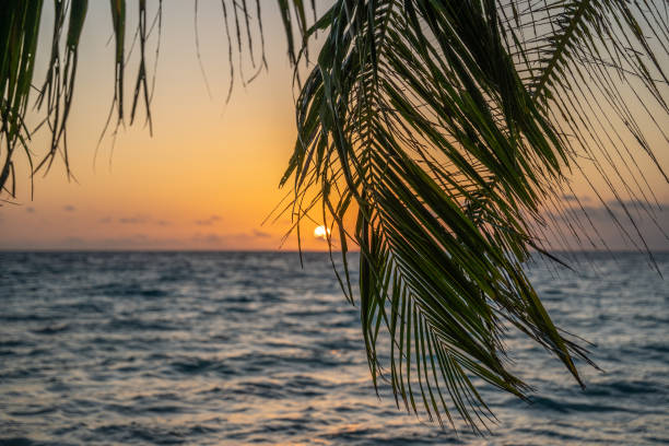 Sunset on Palm Beach on Maldives over the indian ocean