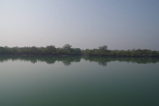 istock Sundarban National Park 2030326448