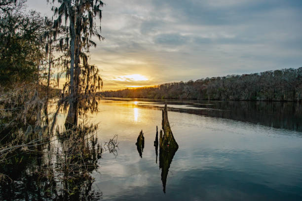 istock Stump in the water at sunset 2030339012