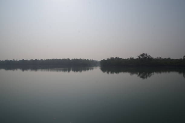 istock Sundarban National Park 2030343403