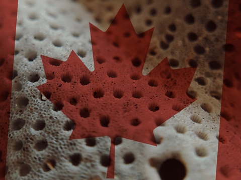 The Macrophotography of The art image of Canada national flag pinned on rough object