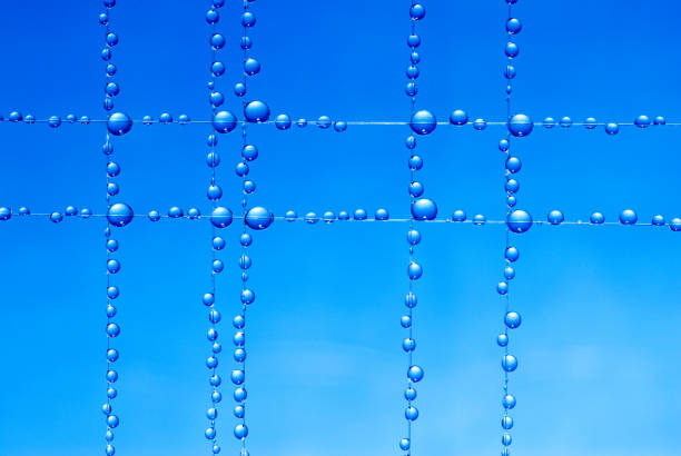 Water Droplets Leaf Against Green Background