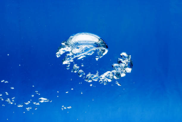 bright Air bubbles, blue background in an aquarium