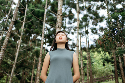 Portrait of an Asian woman feeling nature in the forest