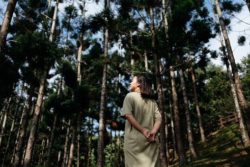 Portrait of an Asian woman feeling nature in the forest