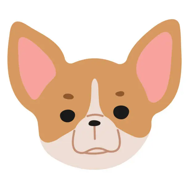 Vector illustration of Chihuahua Head 1