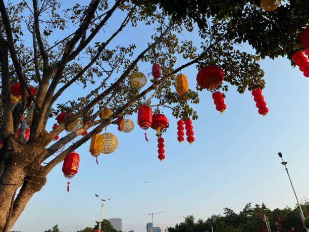 中国の春節の街路樹は、お祝いの提灯でいっぱいです - celebration event abundance lantern traditional festival ストックフォトと画像