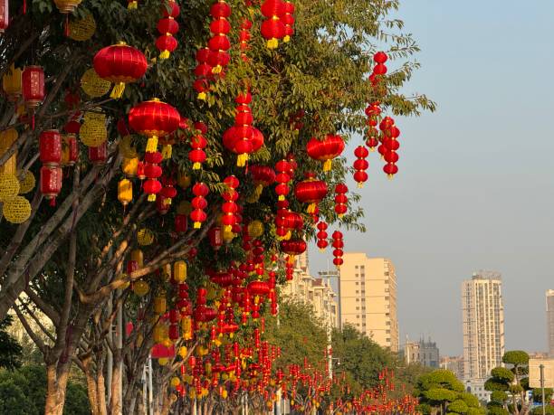 中国の春節の街路樹は、お祝いの提灯でいっぱいです - celebration event abundance lantern traditional festival ストックフォトと画像