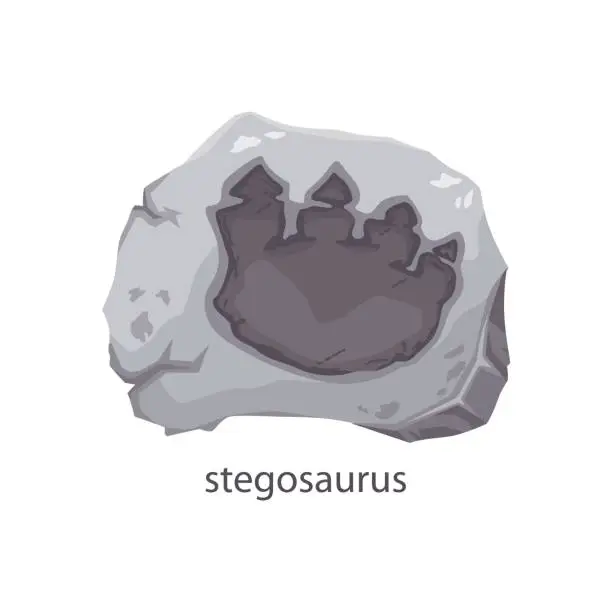 Vector illustration of Stegosaurus dinosaur footprint archeology fossil