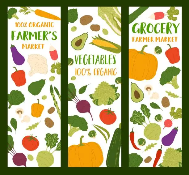 Vector illustration of Autumn harvest raw vegetables vector banners