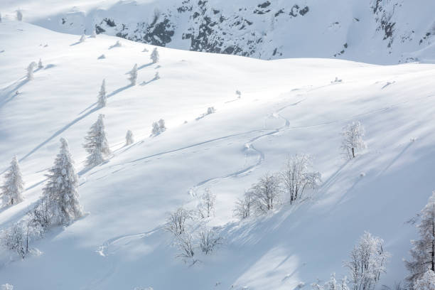 istock Snowy landscape in the Tartano valley 2030433575