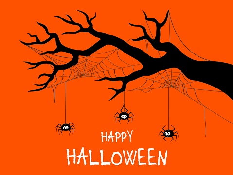 Halloween holiday scary black border with spiders and cobweb on tree branch, vector background. Happy Halloween greeting card and trick or treat party poster with funny spiders and spiderweb on tree