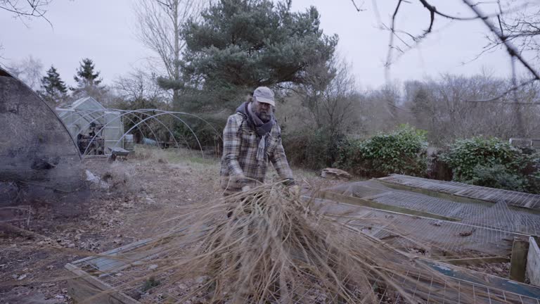 The Making of a Willow Fence