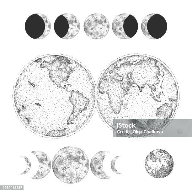 Vector Illustration Set Of Moon Phases Different Stages Of Moonlight ...