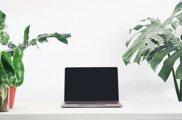 istock Minimalist Home Office with Green Plants 2030496267