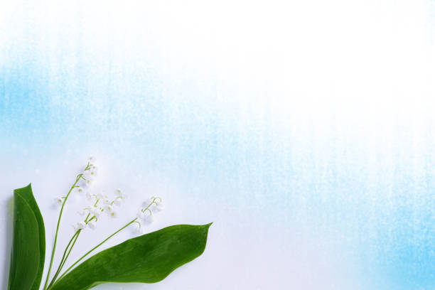 flowers lily of the valley on a light background. Spring landscape.