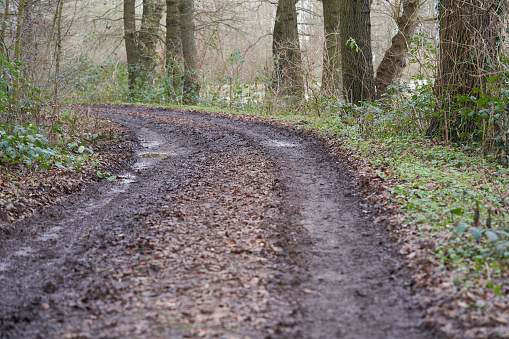 Muddy impassable forest road after rain