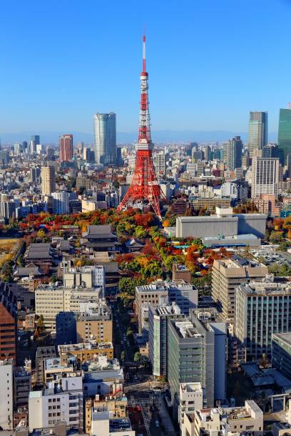 istock Tokyo city, Japan 2030525394