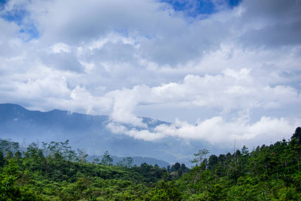 istock forest and mountains in the daytime with beautiful clouds 2030534572