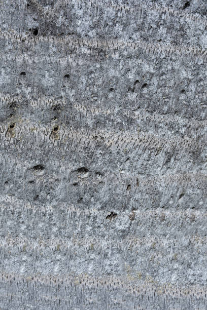 Rugged Grey Stone Wall Texture Background with Concrete and Grunge Elements, Perfect for Nature inspired Designs and Construction themed Projects