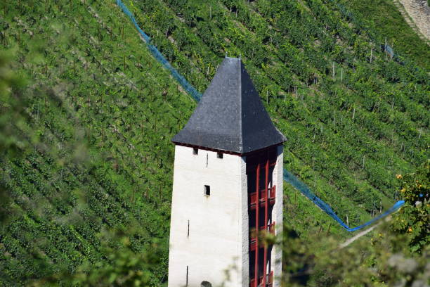 one side open old watch tower in the vineyards, an isolated building above town
