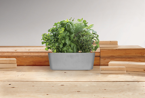 Pot of herbs on a wooden workbench countertop background at a workshop