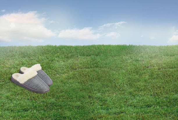 A pair of grey slippers on a green lawn background