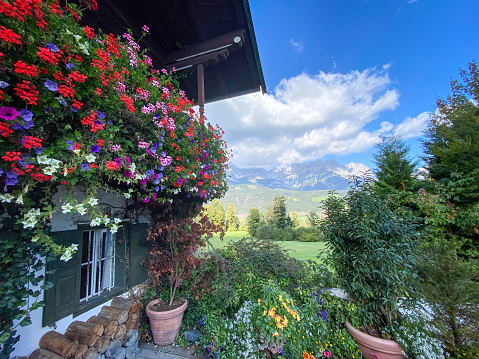 Flowers in full bloom on a balcony of an old farmhouse in Wilder Kaiser mountain scenery, Austria against blue sky with clouds