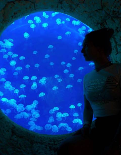 istock Marine life 2030585816
