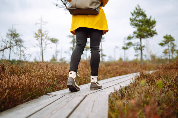 istock Tourist walk along the path through the wetlands. 2030609263