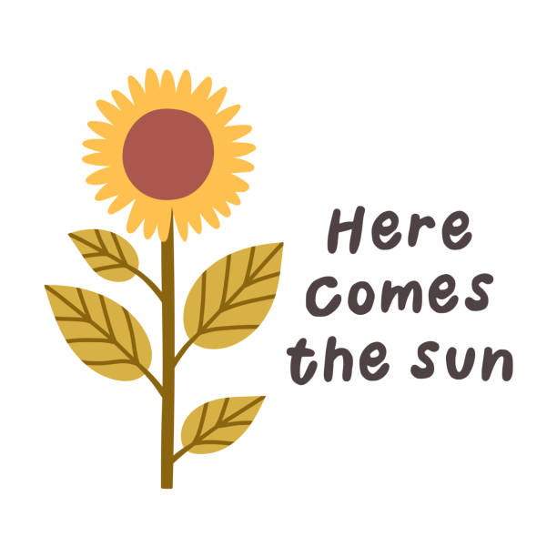 istock Hello spring quotes. Floral springtime hand drawn prints design. Positive phrases for stickers, postcards or posters. Vector illustration 2030648290