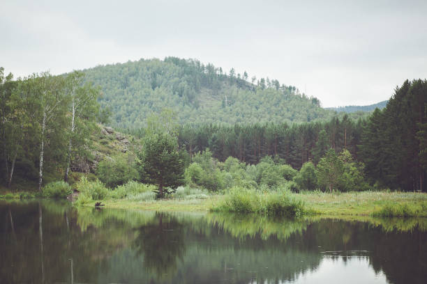 istock A lake surrounded by trees and mountains, creating a stunning natural landscape 2030652933