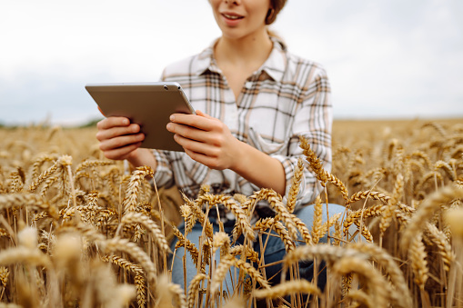 Young Female farmer with tablet in the field. Harvesting. Agribusiness. Gardening concept. Growth dynamics.