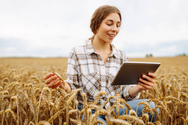 istock Young Female farmer with tablet in the field. 2030666922