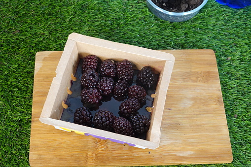 blackberries in a bowl on a board to obtain seeds for germination. ripe blackberries
