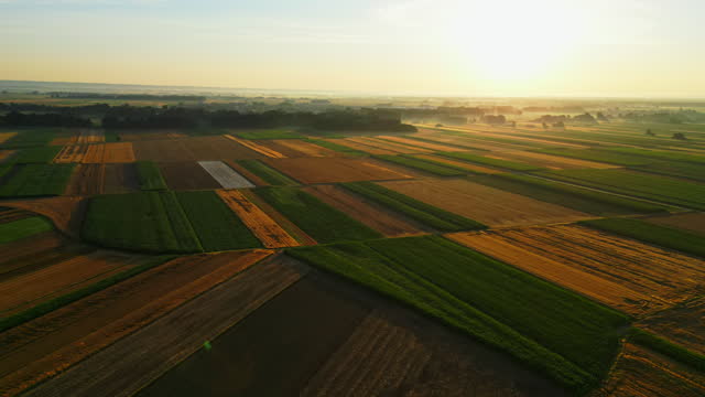 Beautiful Patchwork Agricultural Field During Sunset