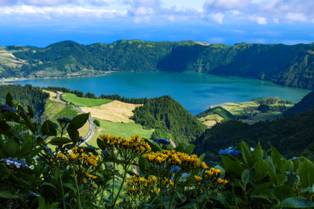 istock flowers, lake, mountains, and sea 2030727214