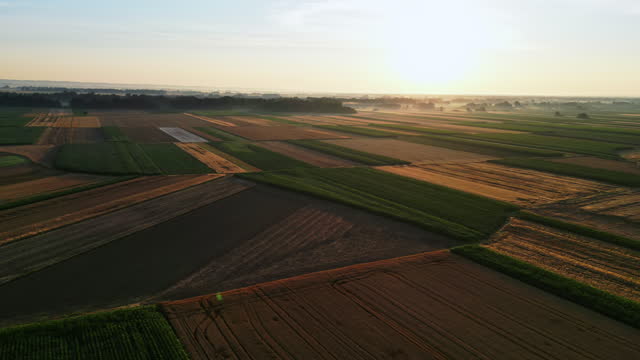 Aerial View Of Patchwork Agricultural Landscape Shrouded With Fog During Sunrise