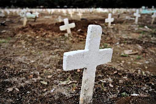 Various crosses in a cemetery. Victims of covid-19 in Brazil