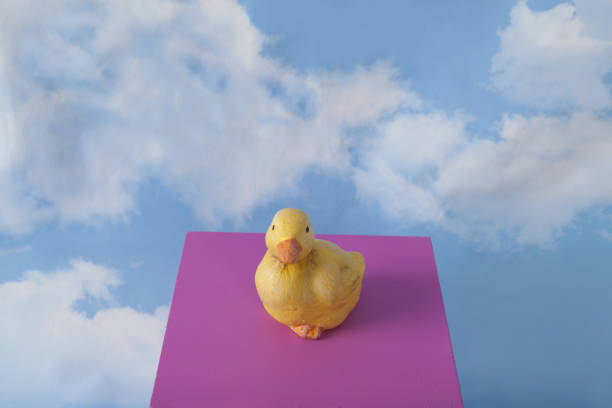a plaster duck on a pink cube in front of a blue sky with clouds.Minimal still life photography