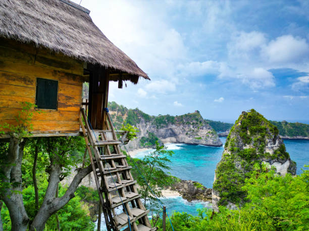 istock Tree house Nusa Penida 2030825478
