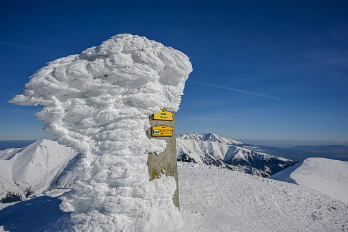 hiking to the peak of Baranec in the Western Tatras in winter with a view of Krivan.