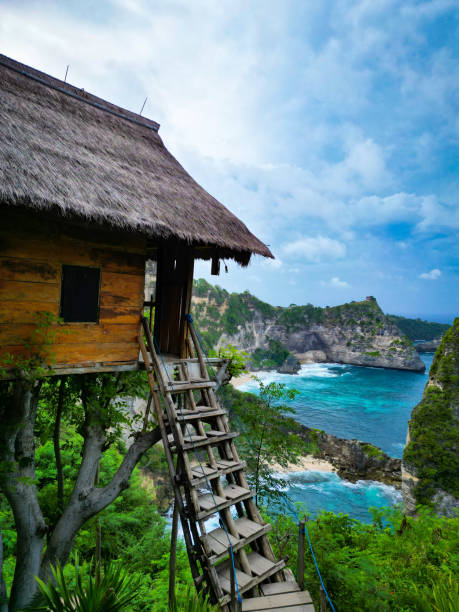 istock Tree house Nusa Penida 2030829189