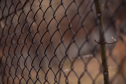 A detailed shot of wire fencing shows a chainlink pattern with a tree in the background, showcasing the contrast between metal and nature